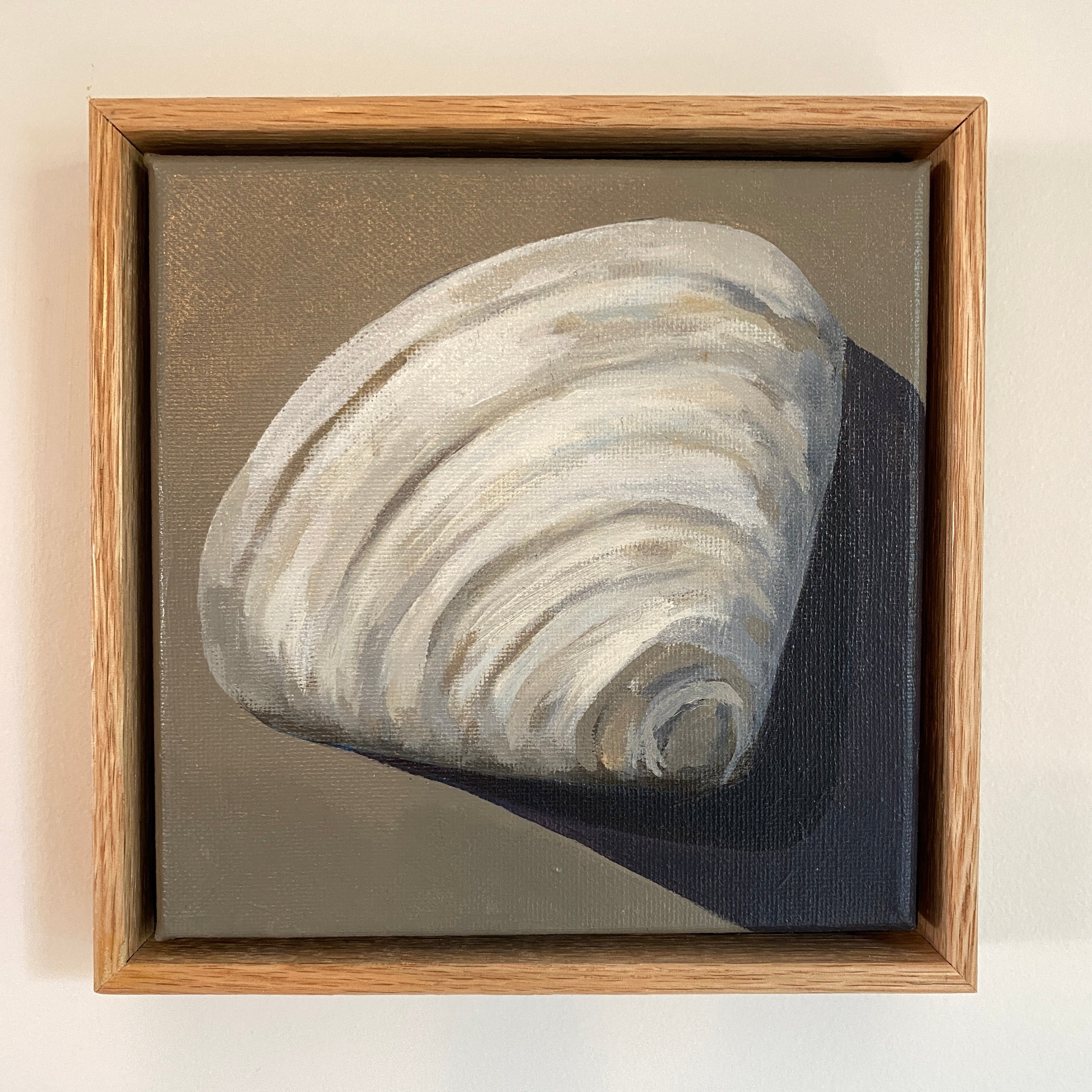 Clam Shell