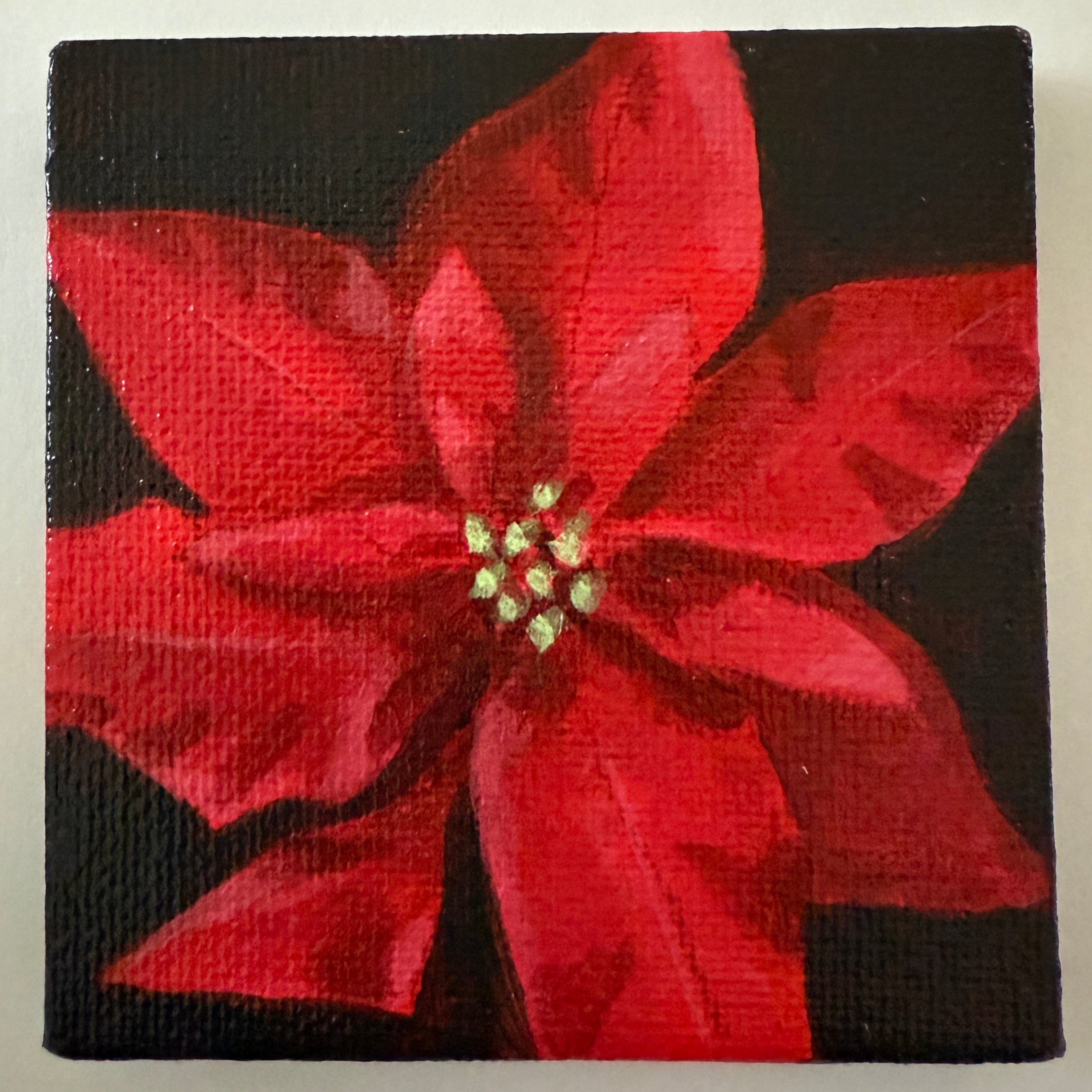 Red Poinsettia